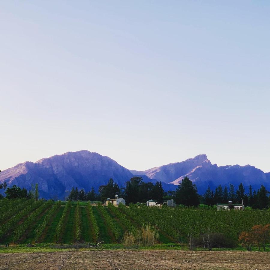 L'bloom Tulbagh