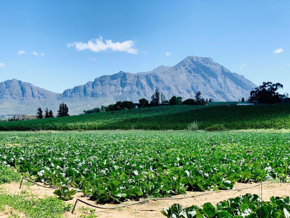 L'bloom Holiday home Tulbagh