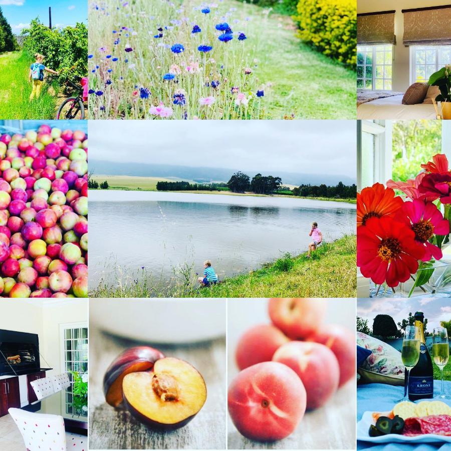 Holiday home L'bloom Tulbagh