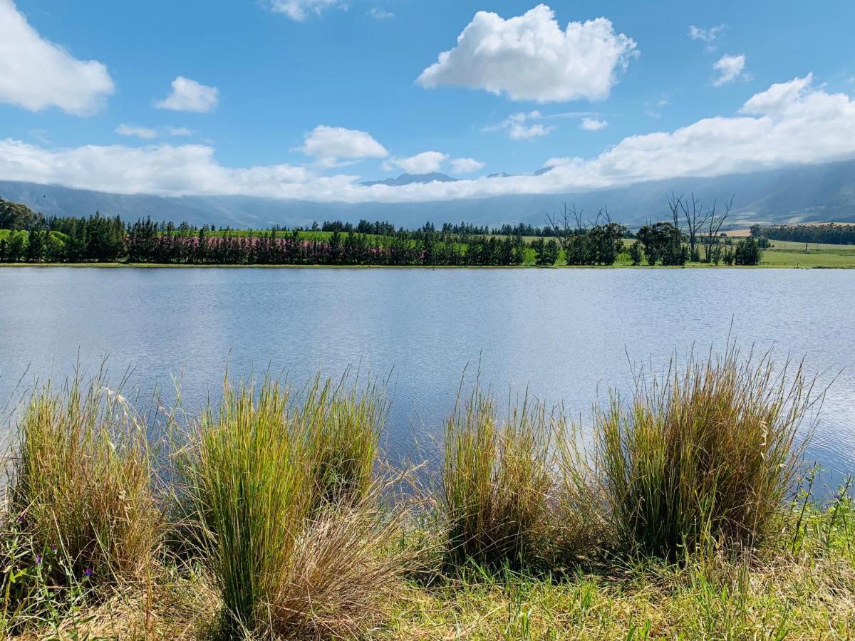 L'bloom Tulbagh