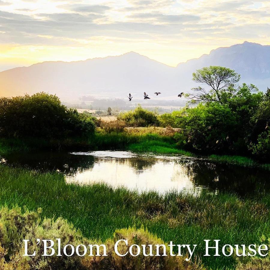 L'bloom * Tulbagh