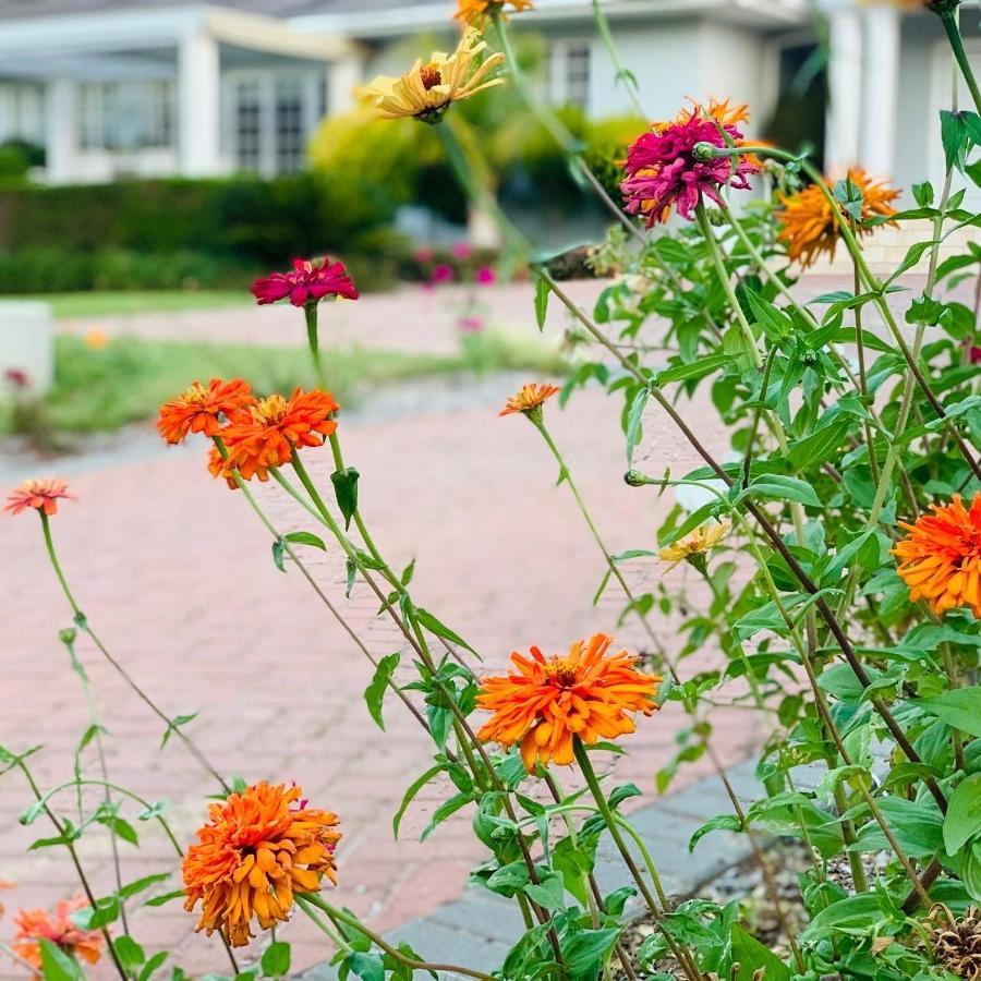 L'bloom Holiday home Tulbagh