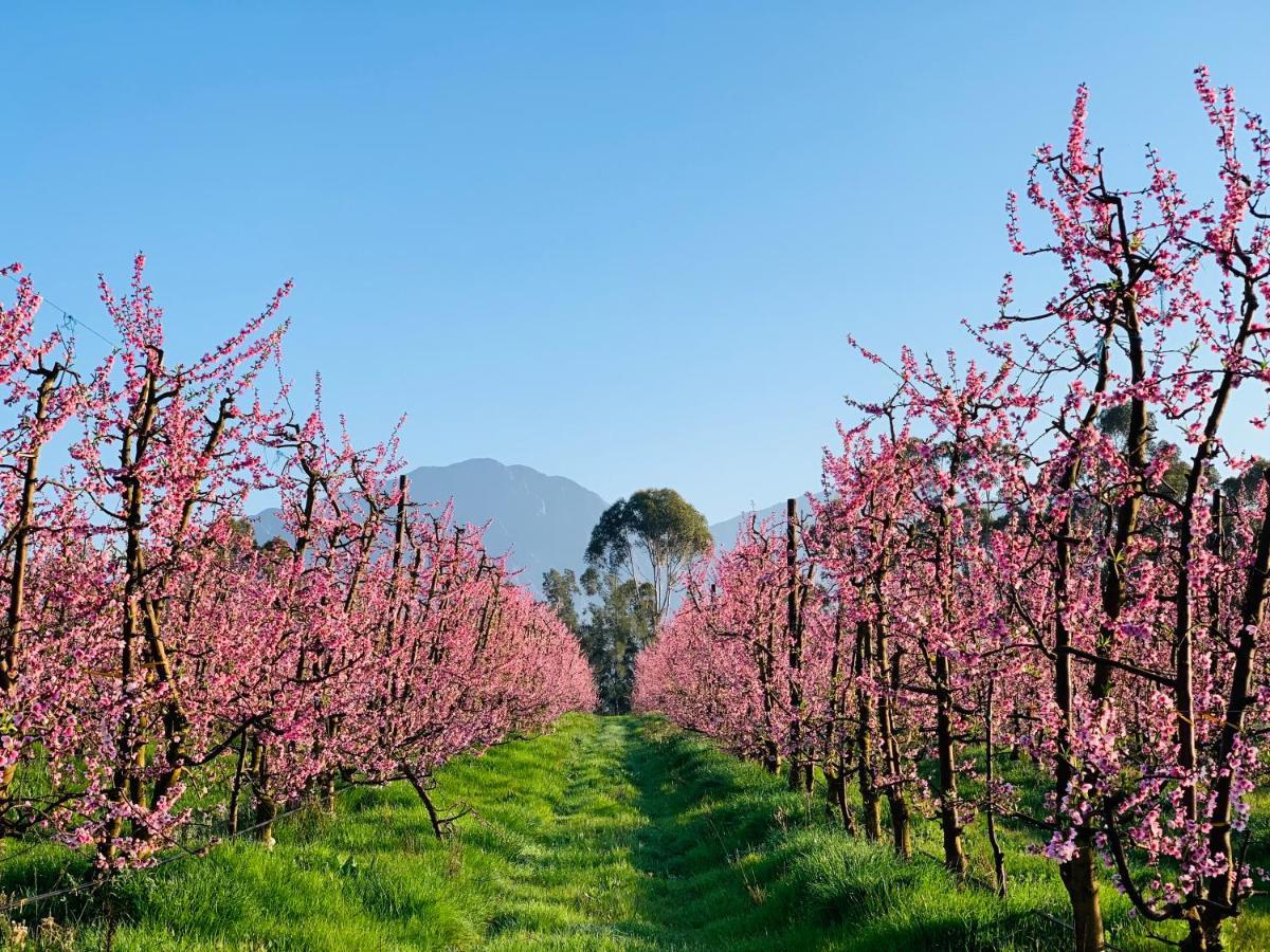 Holiday home L'bloom Tulbagh