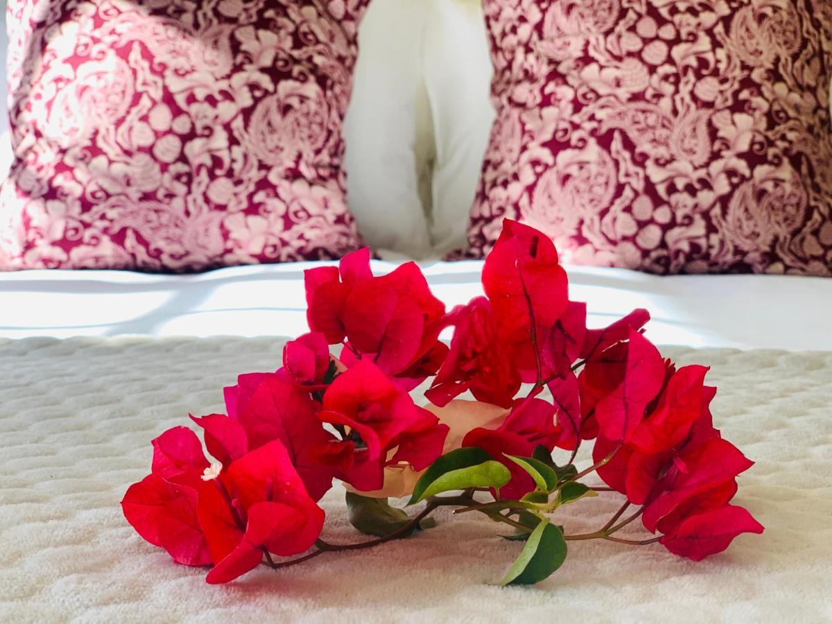 Holiday home L'bloom Tulbagh