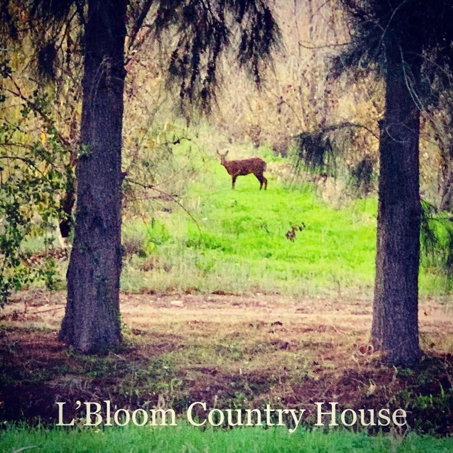 Holiday home L'bloom *