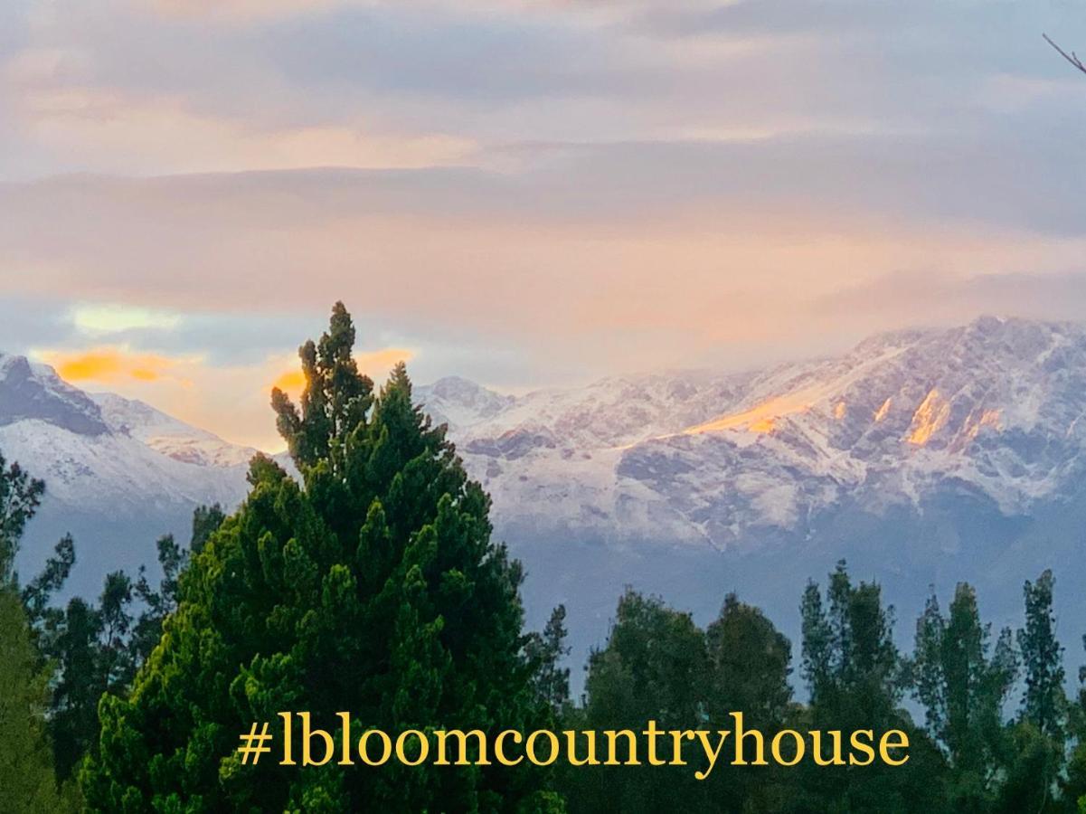 L'bloom * Tulbagh