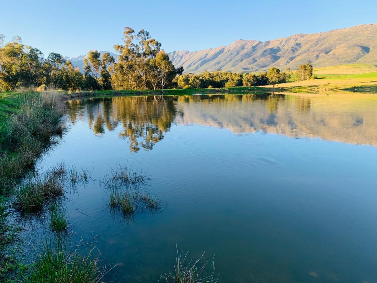 L'bloom * Tulbagh