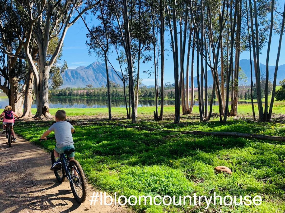 Holiday home L'bloom *