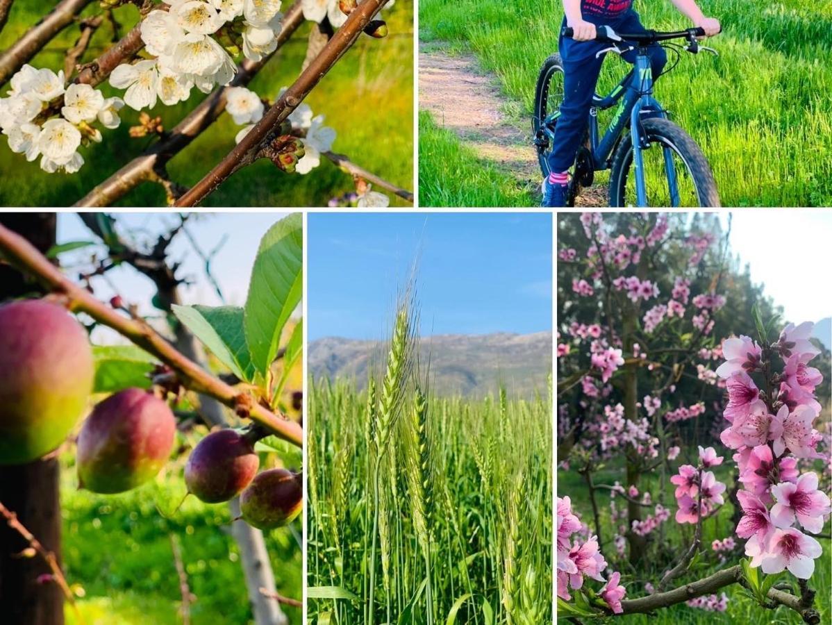 Holiday home L'bloom Tulbagh
